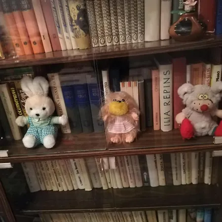 Saknes Апартаменти Рига