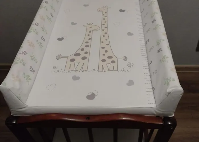 Saknes Apartment Riga