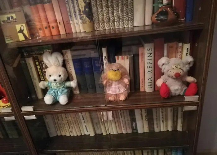 Saknes Apartment Riga