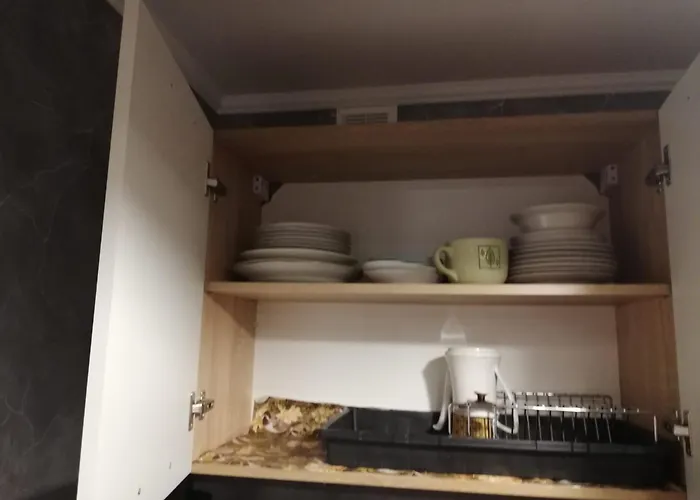 Saknes Apartment Riga