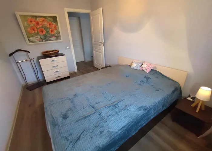 Saknes Apartment Riga