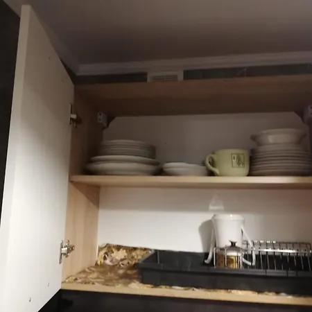 Saknes Appartement Riga